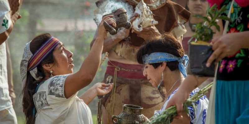 Curación de Enfermedades